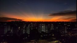 Urban Treasures (D14), Condominium #499945601